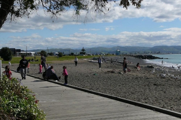 Navigate Seaside Hotel (Westshore)